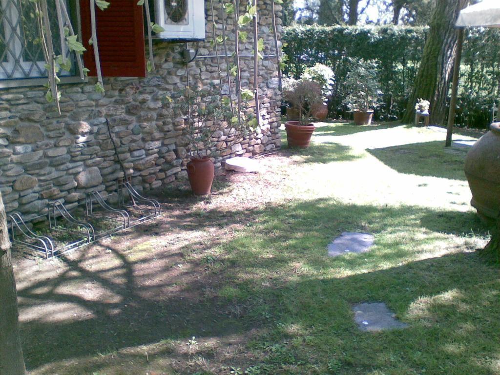 Villa Feltran Forte dei Marmi Cameră foto